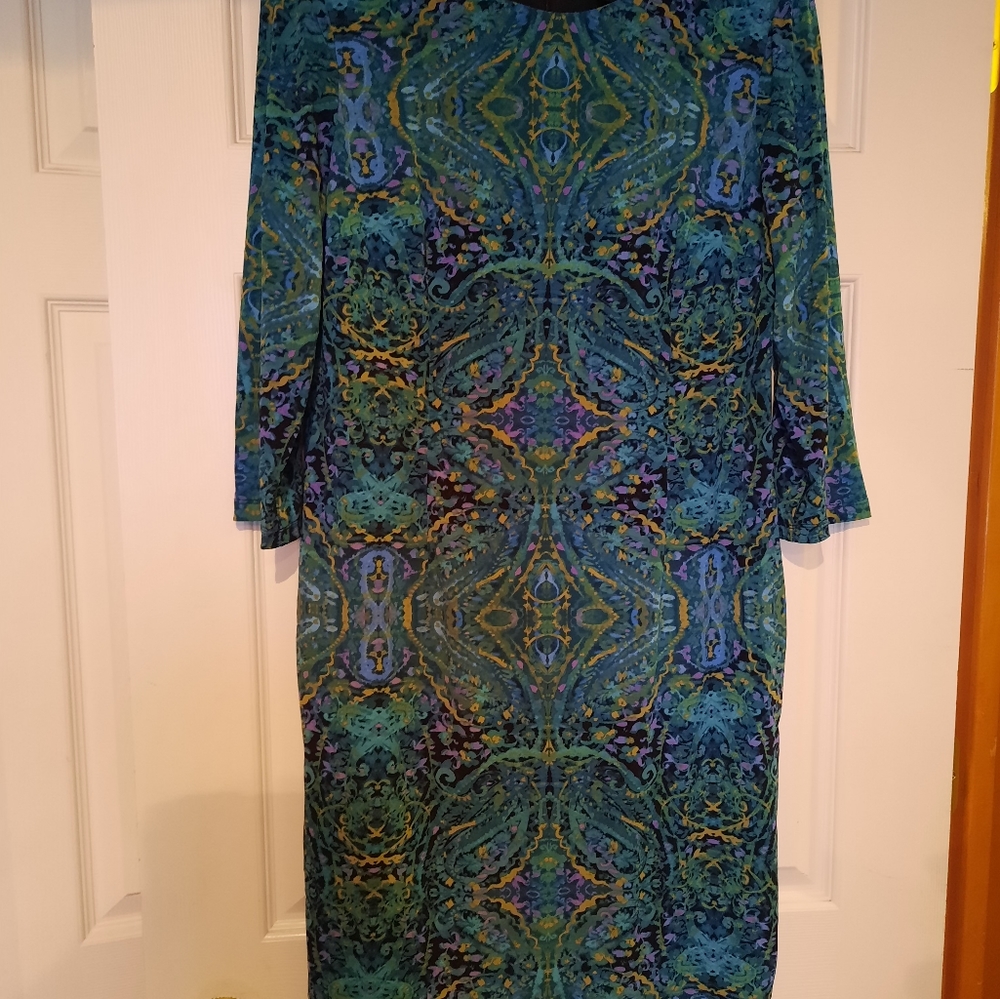 Liz Claiborne sise 12 long sleeve dress